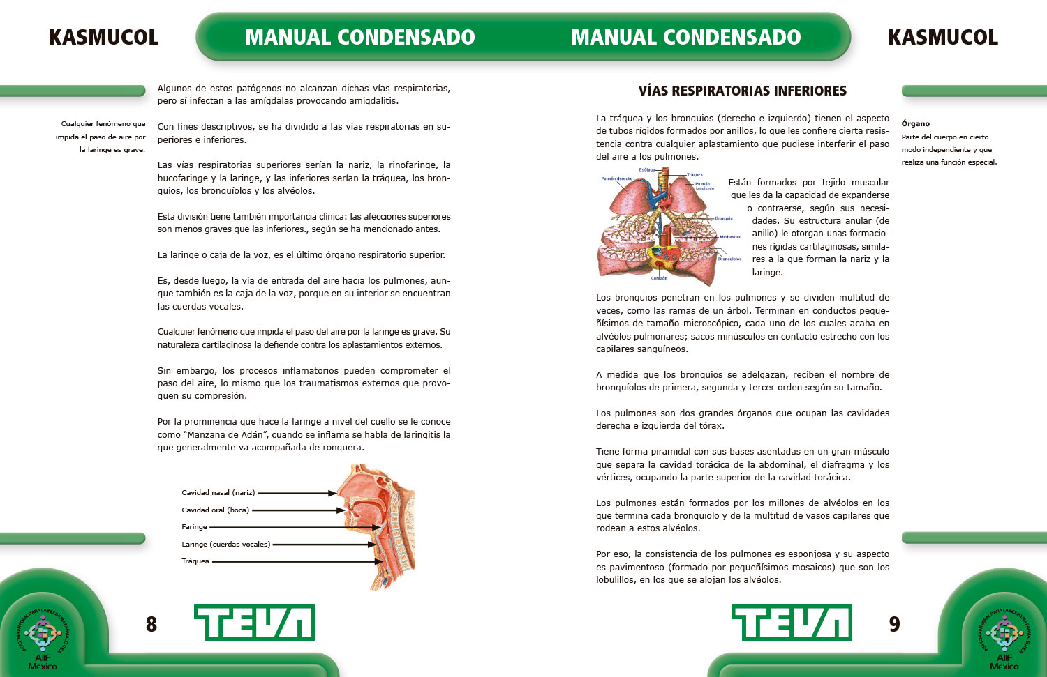 Manual condensado para Kasmukol (imagen 1)